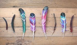 Read more about the article Finding Feathers? Different Colours Carry Different Messages