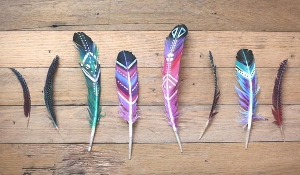 You are currently viewing Finding Feathers? Different Colours Carry Different Messages