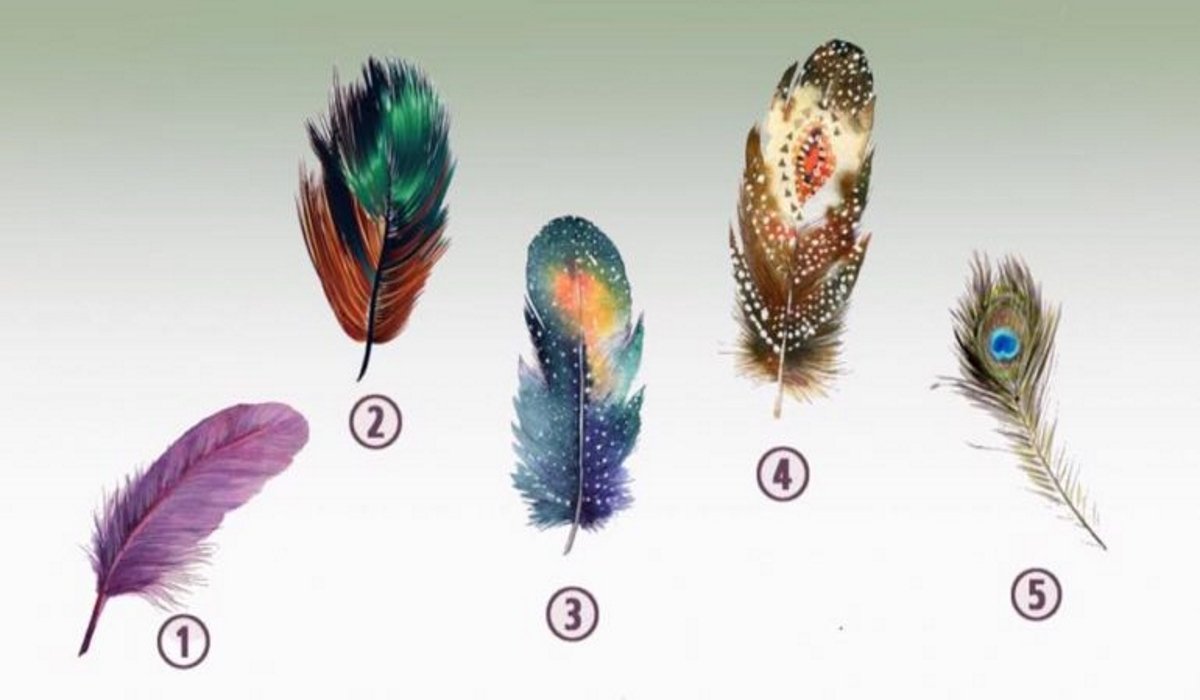 You are currently viewing Choose The Feather That Attracts You The Most And Discover Your Inner Power