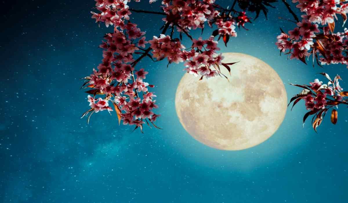 You are currently viewing 4 Zodiac Signs The May 2019 Full Moon Will Affect The Most