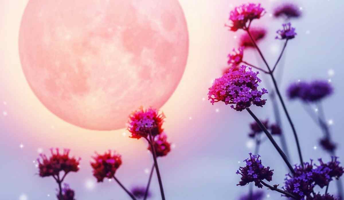 You are currently viewing How the Full Moon of May 2019 will Affect You, According to Your Zodiac Sign