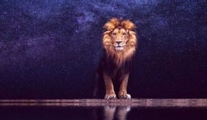 Read more about the article 6 Zodiac Signs that the 2019 Leo Season Will Affect the Most
