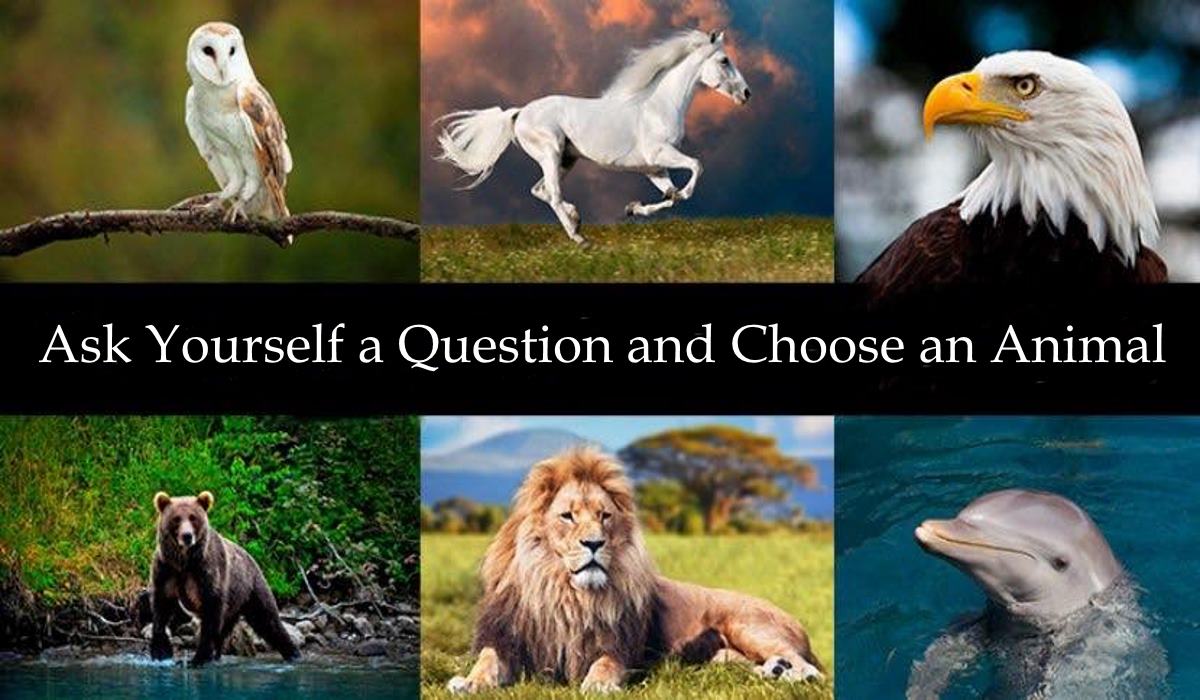 Read more about the article Ask Yourself a Question and Choose an Animal – It Will Give You the Answer You are Looking for