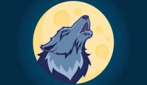 Read more about the article How the January 10, Wolf Moon Will Affect Your Luck, According to Your Zodiac Sign