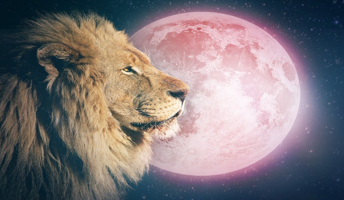 Read more about the article Full Moon in Leo on February 9, 2020 – Embrace the Path You were Meant to Travel