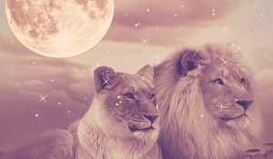 Read more about the article Tomorrow’s Full Moon in Leo – Will Give Us the Boost We so Badly Want