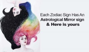 Read more about the article What is the Astrological Mirror Sign, of Your Zodiac Sign