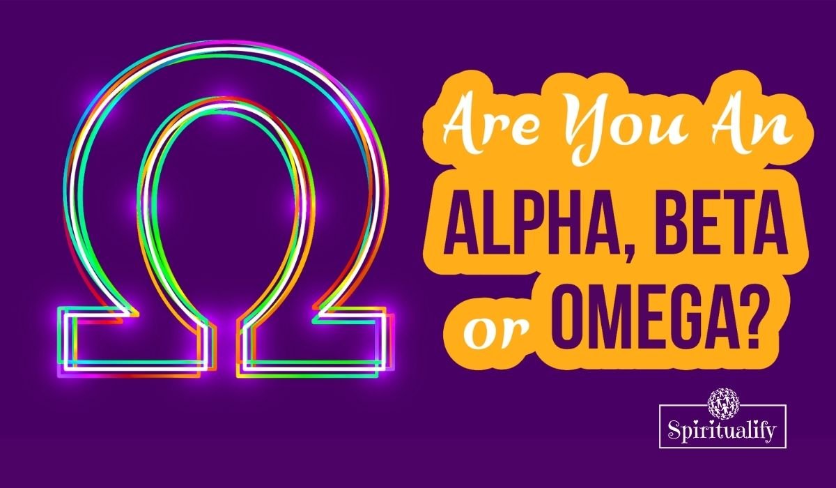 You are currently viewing Discover Whether You’re an Alpha, Beta or Omega Female