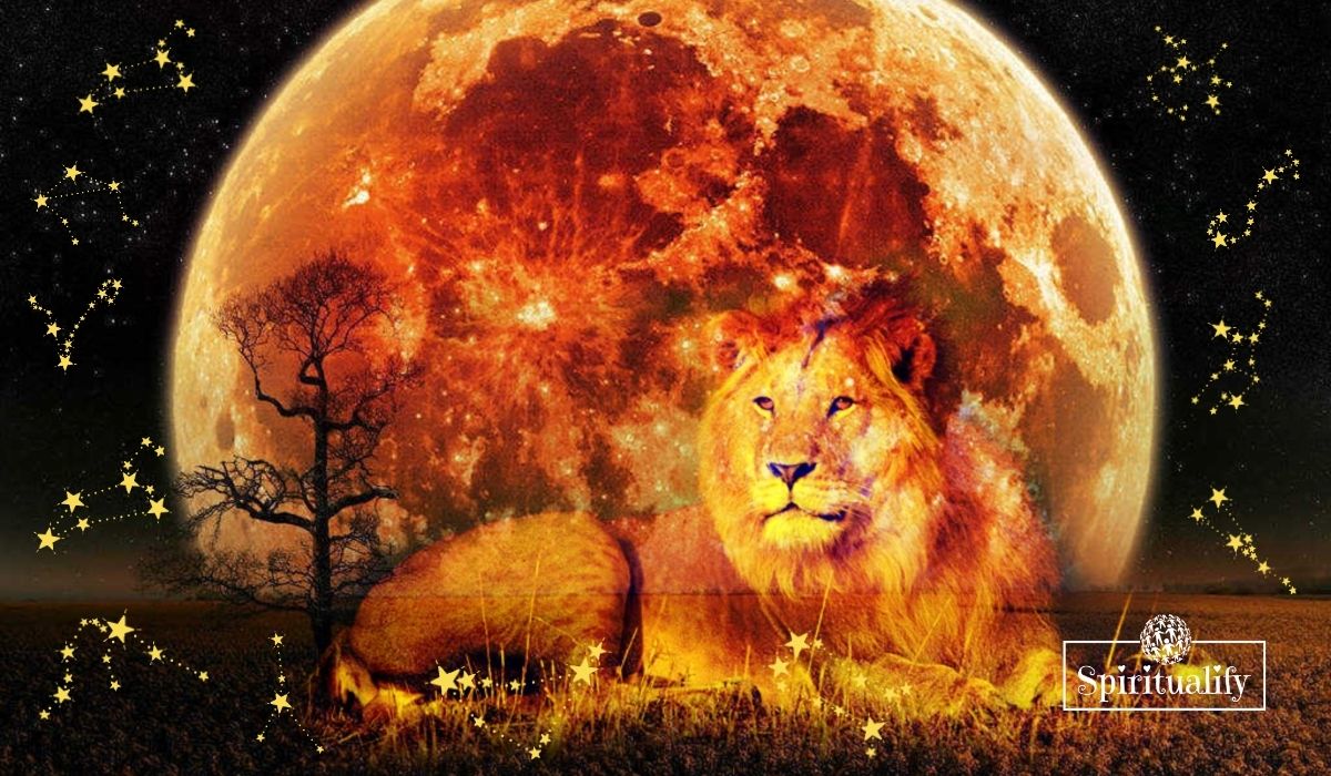 Read more about the article These 3 Zodiac Signs will Experience the Best New Moon in Leo August 2020