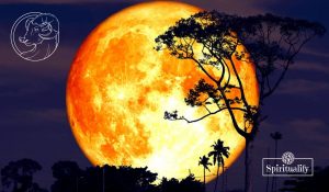 Read more about the article How to Harvest the Powerful Energy of the October Full Moon in Aries