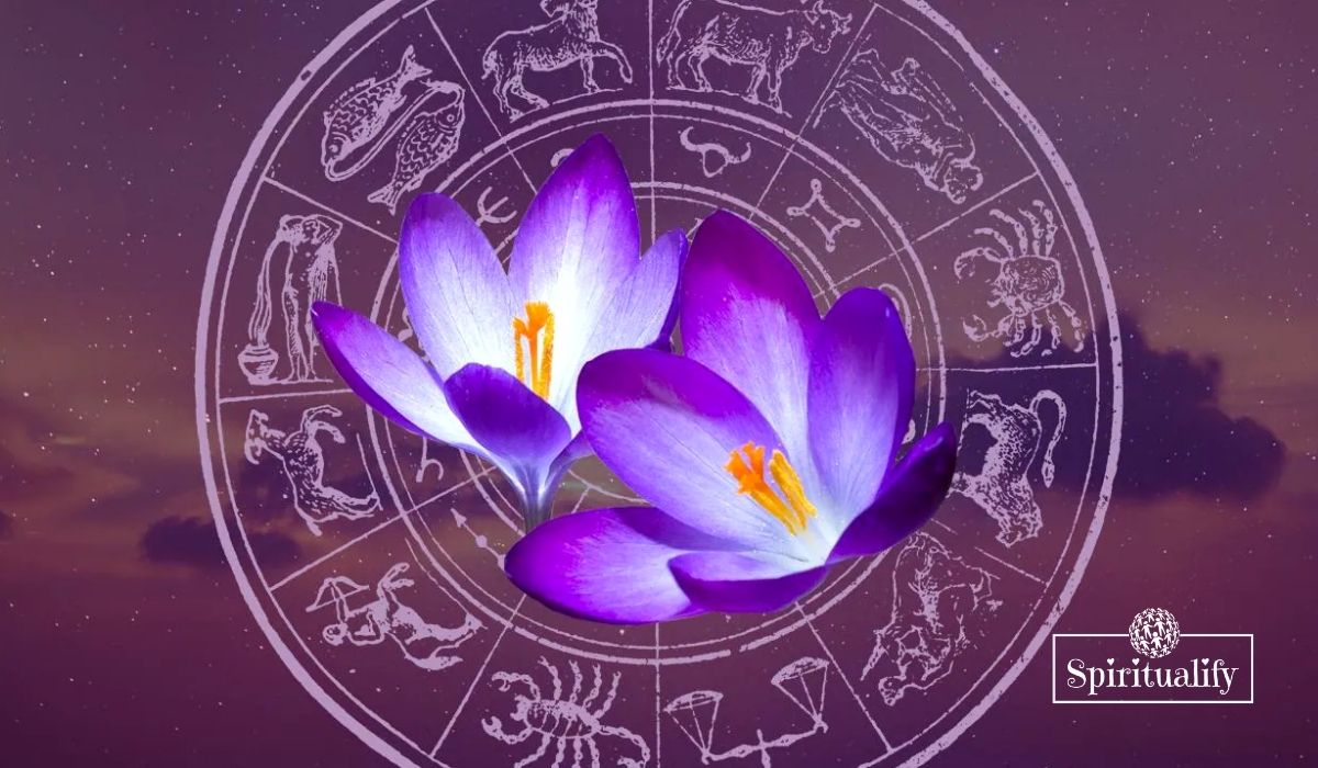 Read more about the article These 3 Zodiac Signs Will Have a Challenging Spring Equinox 2021